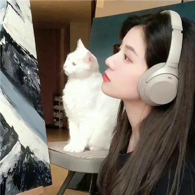 万物有灵2023海报